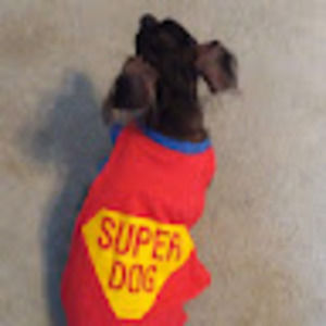 Meet your Posher, Shirley